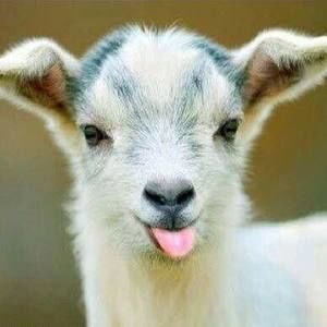 Meet your Posher, Krystal